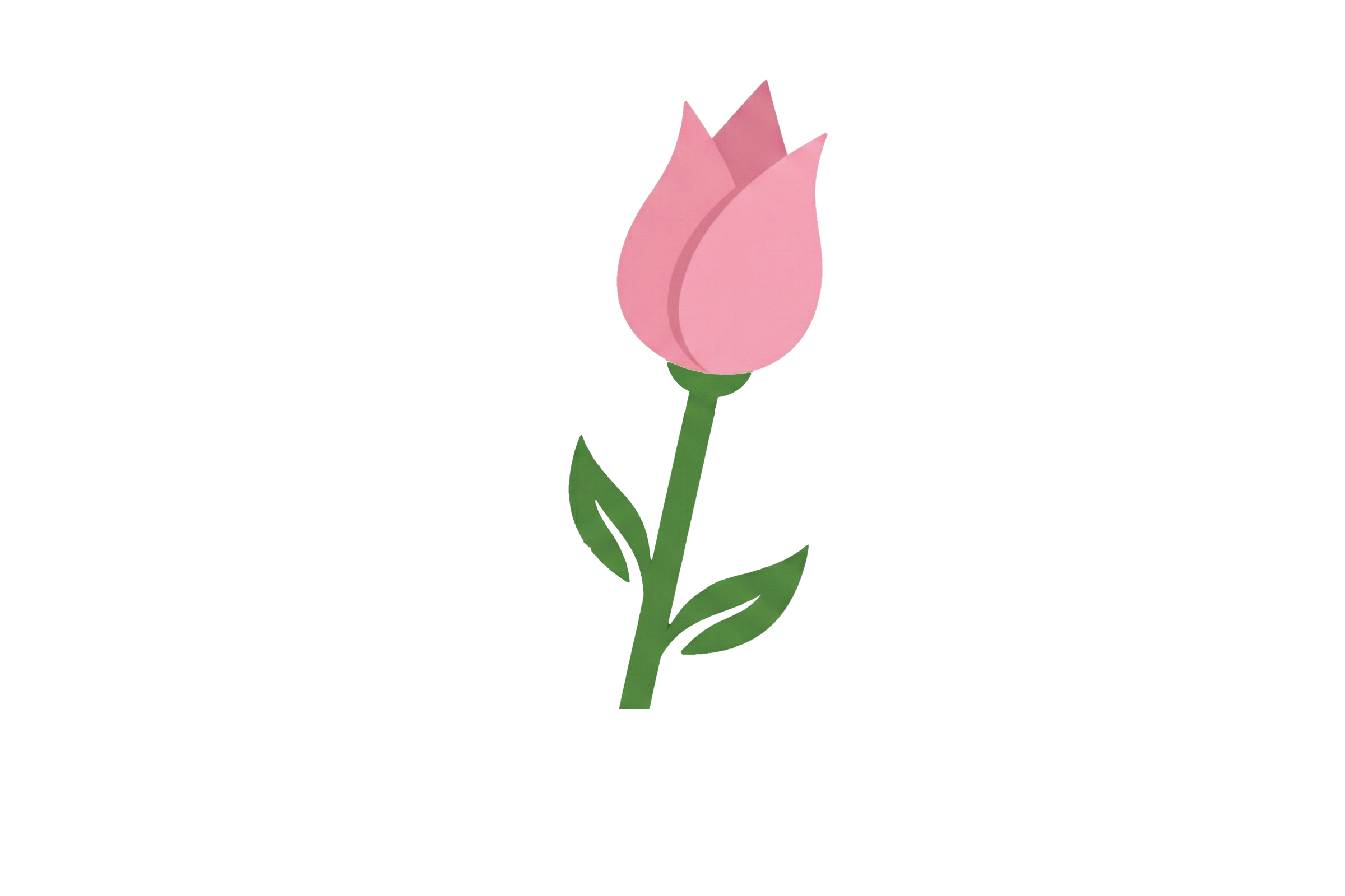 ZiP VPN